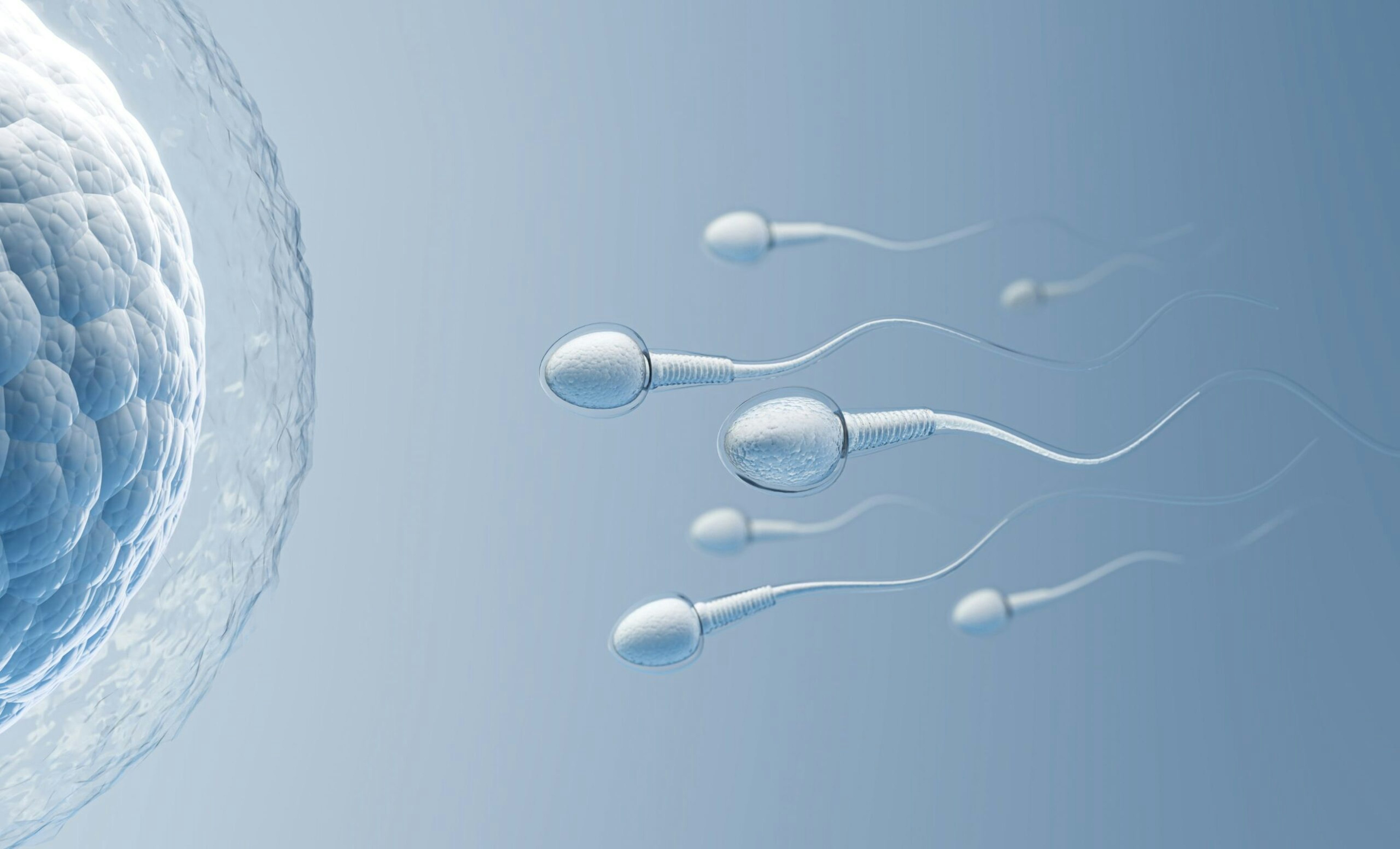 Znanstvenici su uhvatili spermu kako prkosi jednom od glavnih zakona fizike
