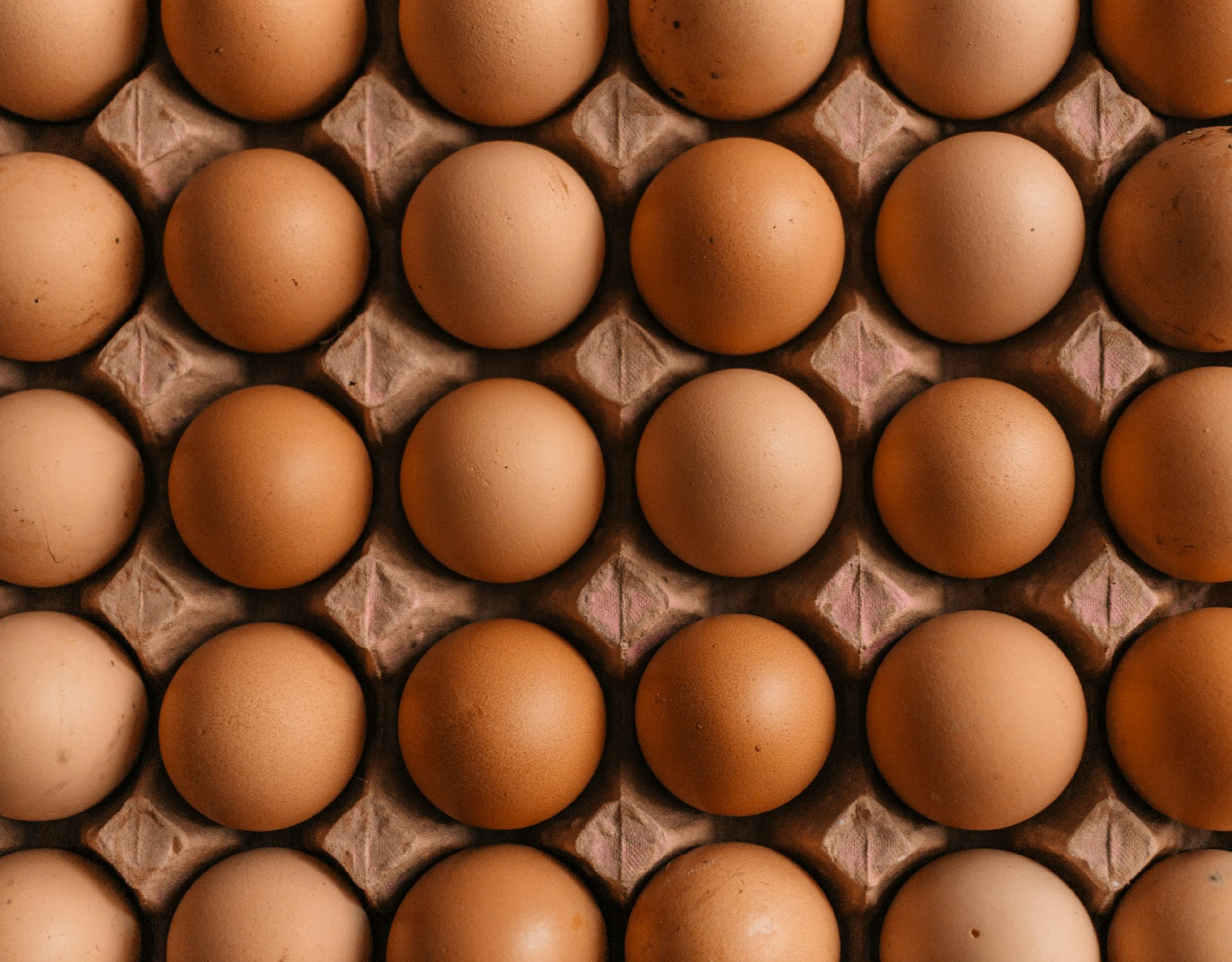 Nova studija otkrila može li veća konzumacija jaja pomoći u prevenciji osteoporoze