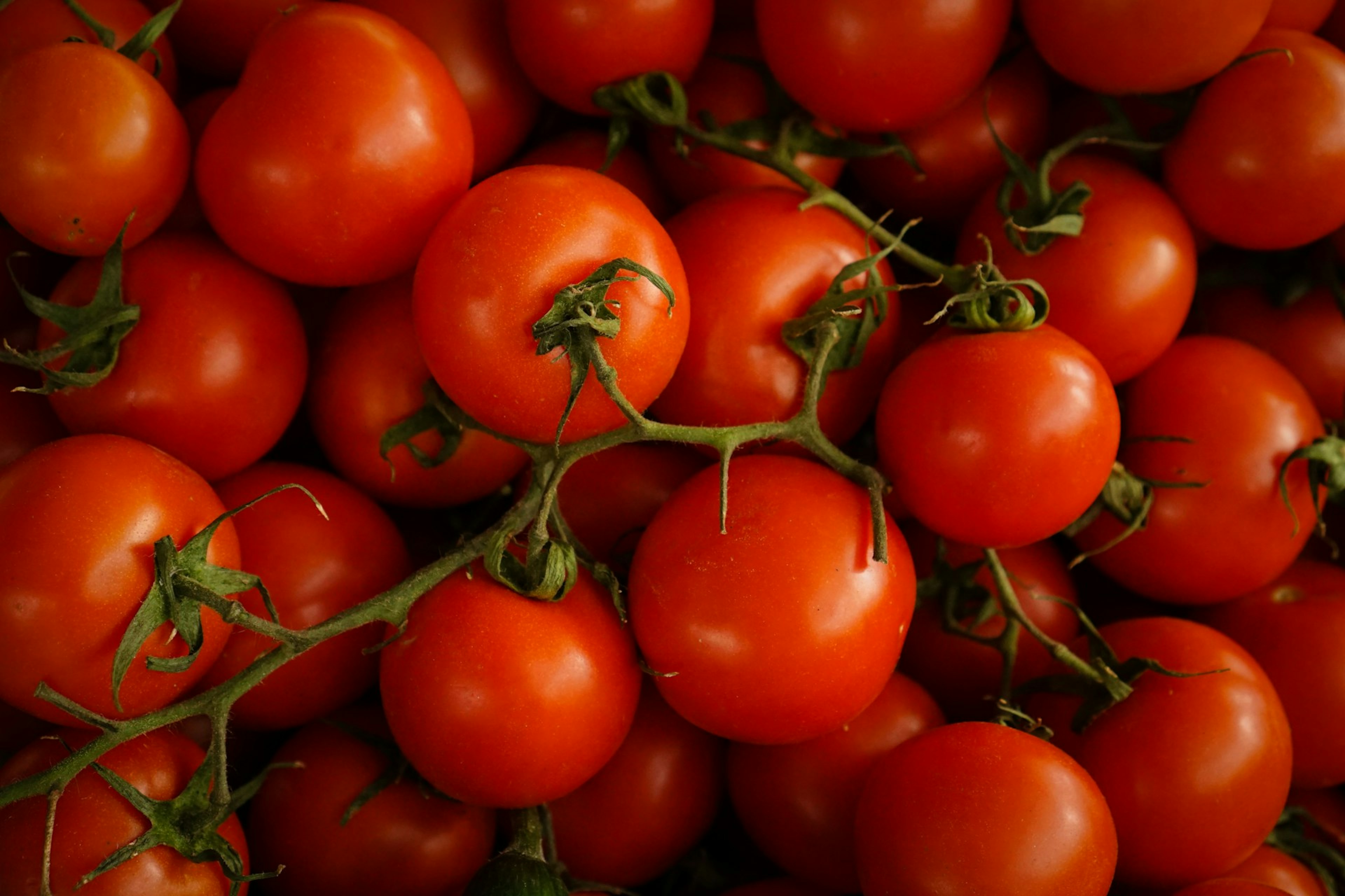 Svakodnevno jedenje rajčice pomaže kod ovih čestih zdravstvenih stanja