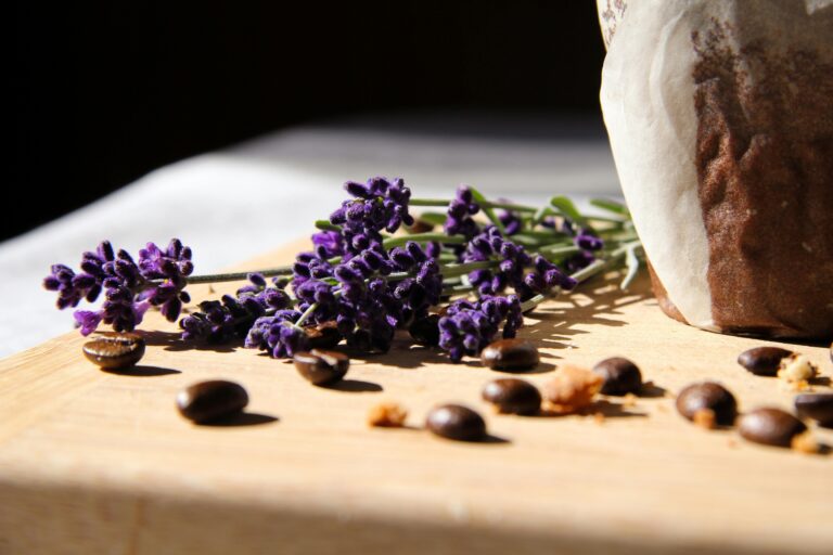 lavanda